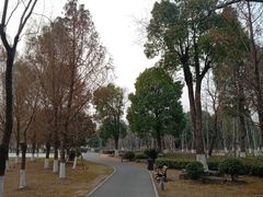 -九科绿洲