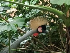 -深圳野生动物园
