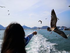 -海驴岛(荣成市)