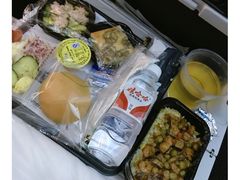 -达拉斯 沃斯堡国际机场