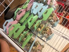-蓝湾碧波·老字号·疍家非遗海上餐厅