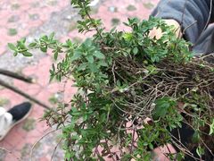 -白草畔自然风景区