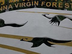 -西双版纳原始森林公园