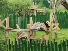 -沈阳森林动物园