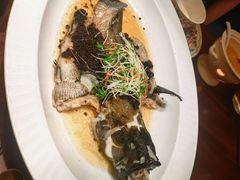 -觅唐MITONG(鸟巢店)