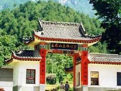 -王顺山国家森林公园