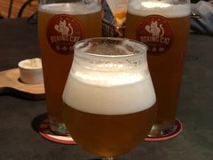 -Boxing Cat Brewery拳击猫精酿啤酒馆(永福店)