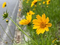 -南京市江宁方山