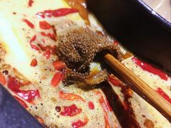 烫毛肚-渝派江湖烩(回兴店)