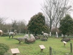 -上海海湾国家森林公园