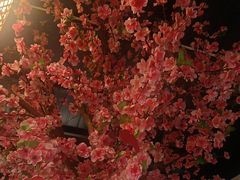 -野渡坡·极致湘菜·庭院餐厅(汉阳店)