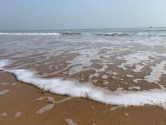 -渡海小渔村.老辈日照菜