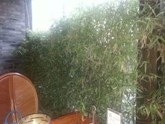 -慢丽江·云南野生菌土鸡锅(付家庄店)
