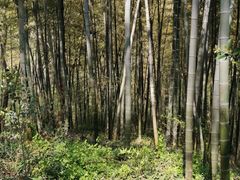 -南山风景名胜区