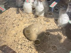 -大连圣亚海洋世界