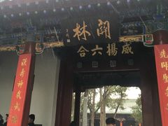 -关林