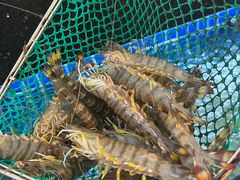 -碧海银沙海鲜餐厅(恒大海上威尼斯店)