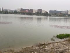 -羊山湖公园