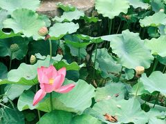 -长安上水缘度假庄园