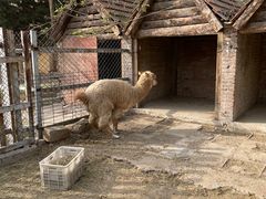 -意大利农场度假村