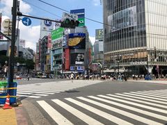 -涩谷全向十字路口