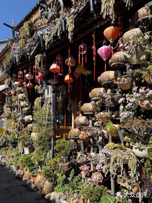 在路上酒吧(大理古城店)图片
