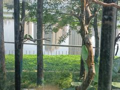 -武汉动物园
