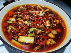 -雲蜀龙阁·金牌水煮鱼(方庄店)