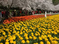 -苏州上方山国家森林公园