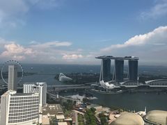 -新加坡瑞士史丹福酒店