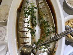 清蒸鱼-同庆楼(滨湖万达广场店)