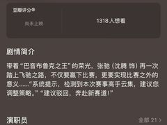 -飞扬影城(正佳IMAX店)