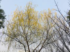 -天鹅湖体育公园