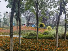 -铁山坪森林公园