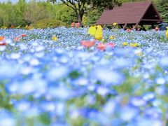 -上海滨江森林公园