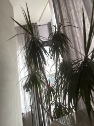 -MOVAN HAIR莫凡匠人发型屋