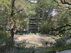 -香港大学