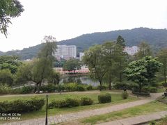 -大埔公路-马料水段香港中文大学(公交站)