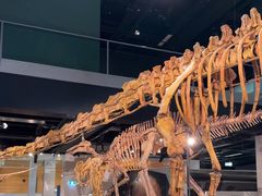 -墨尔本博物馆(Melbourne Museum)