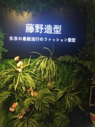 点击看大图 -藤野造型