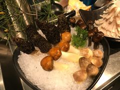 -王家渡火锅店(棕榈泉店)