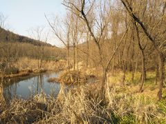 -西湖风景区-江洋畈生态公园