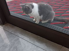 -蒙阴县光棍鸡店(蒙山店)