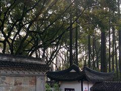 -上海醉白池公园