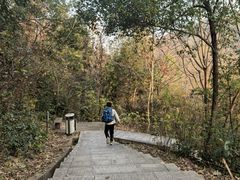 -桃花岭景区