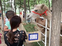 -长白岛森林公园