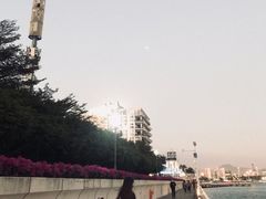 -金粿粿·牛肉粿