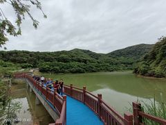 -黄埔油麻山森林公园