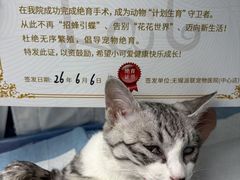 -派联宠物医院·24h·CT·异宠