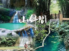 -南海湾森林生态园